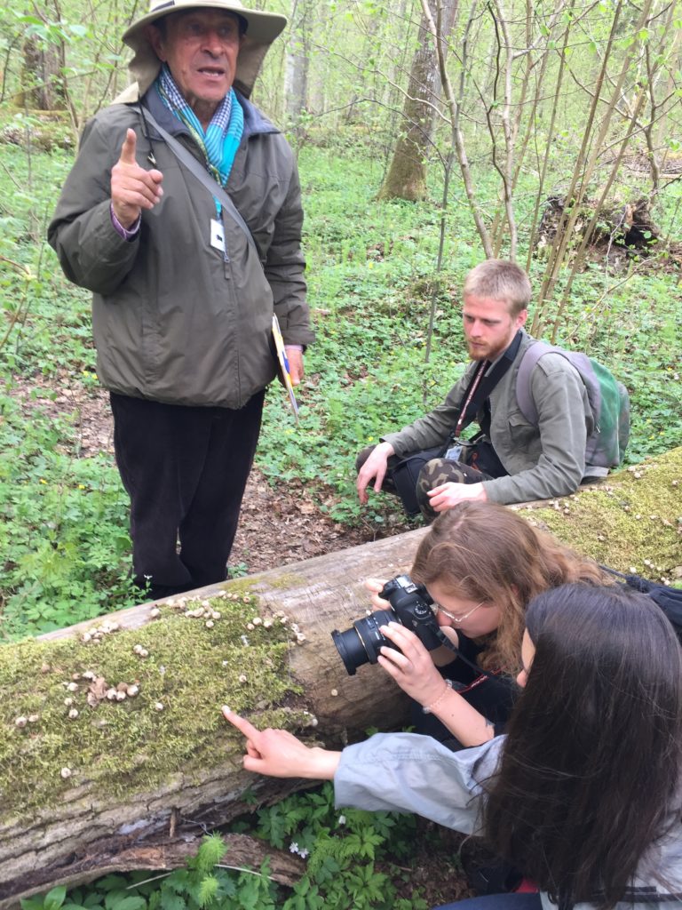 Rhizosphere: the Big Network of Small Worlds – fieldwork in Białowieża Forest National Park, April 2019