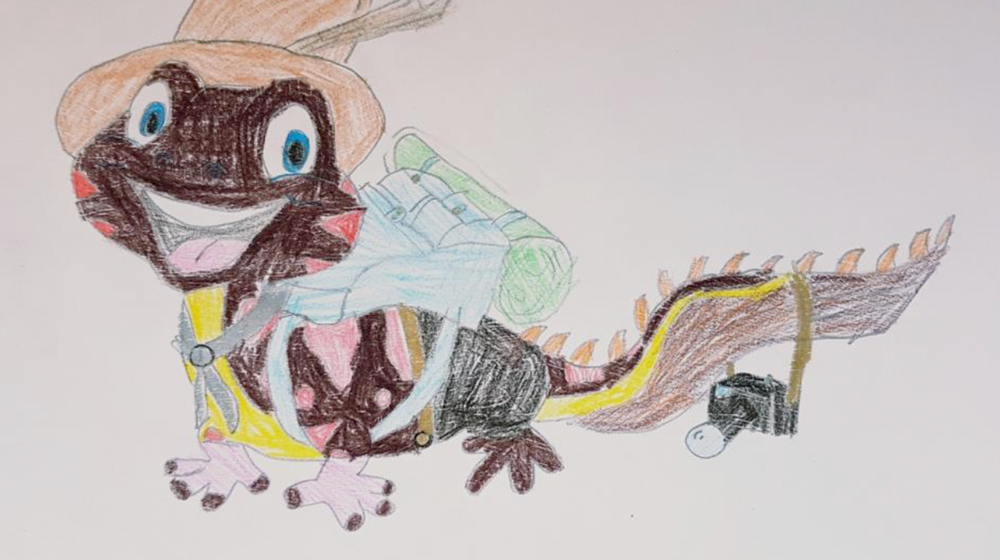 Rendez-vous with amphibians eTwinning Project. Student's drawing.
