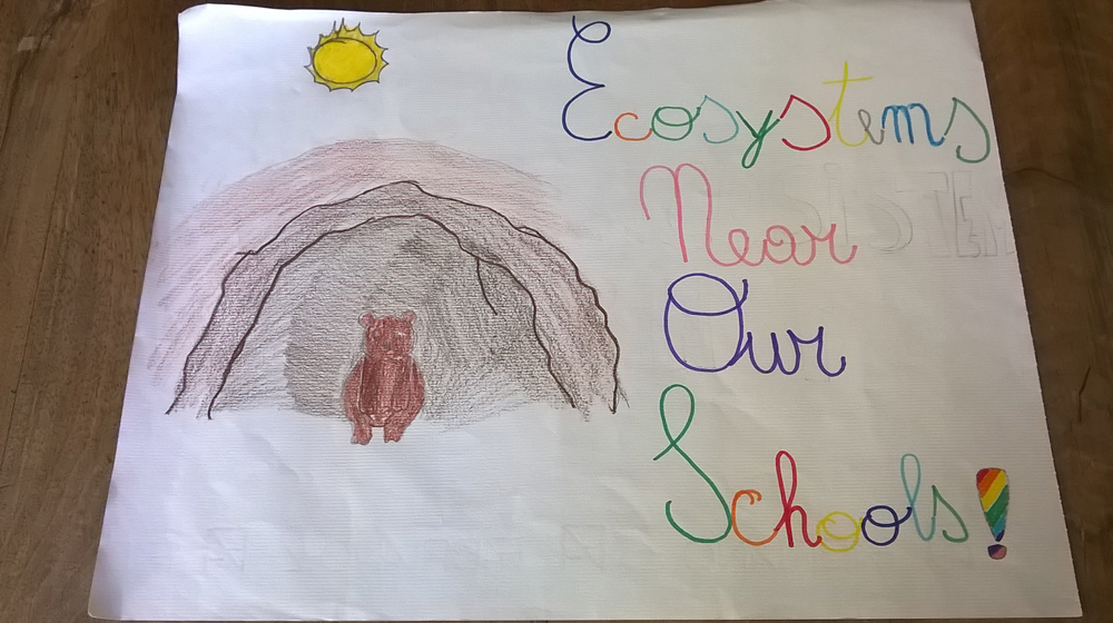 Ecosystems near our school eTwinning Project. Students' work.