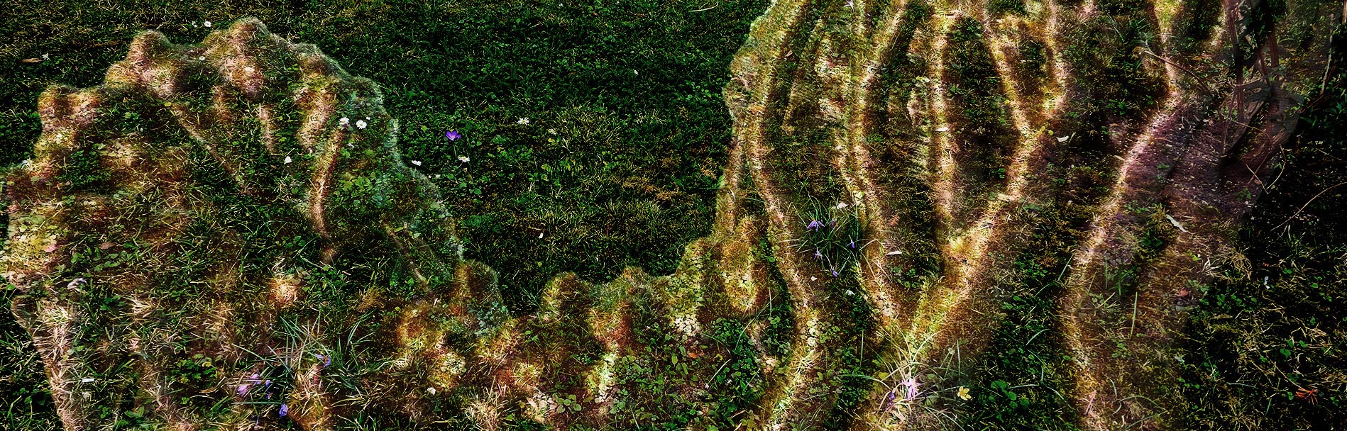 MemoryRNA03banner3_00000