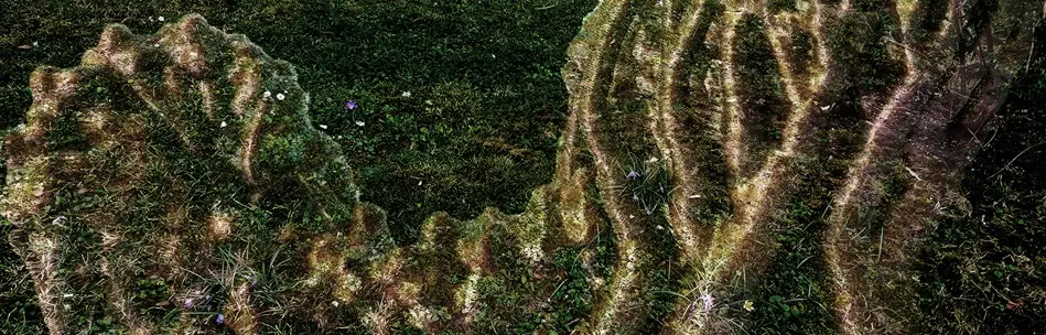 MemoryRNA03banner3aS
